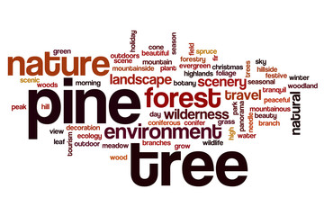 Pine tree word cloud
