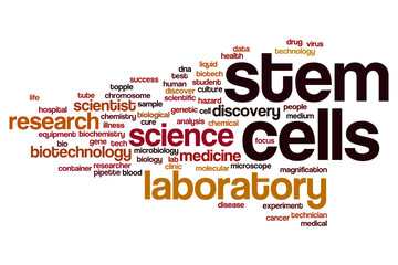 Stem cells word cloud