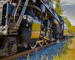 Rumble Train