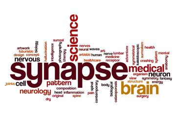 Synapse word cloud