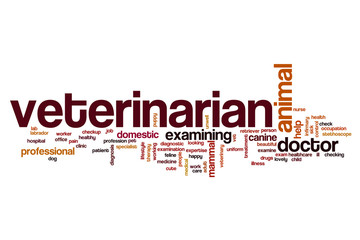 Veterinarian word cloud