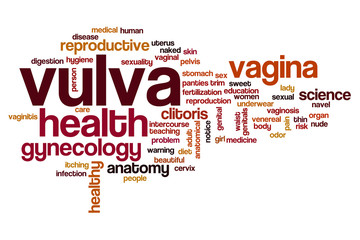 Vulva word cloud