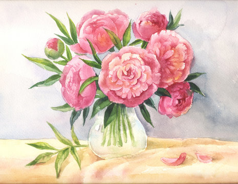 peonies in a vase watercolor. Sketch of pink flowers, illustrati