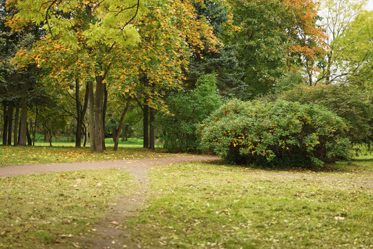 town park in early autumn season
