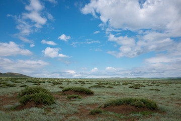Steppe, Mongolie