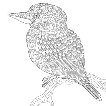 recommend clip art: Stylized australian kookaburra bird, isolated on white background. Freehand sketch for adult anti stress coloring book page with doodle and zentangle elements.