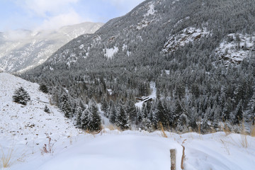 Snowy Valley 4