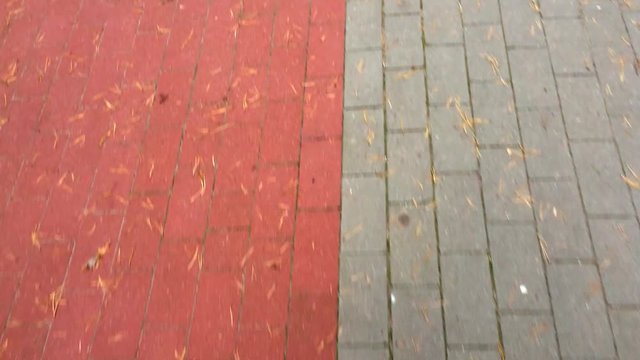 gehen auf einer stra&szlig;e mit fu&szlig;g&auml;nger und fahradzone in rot und grau