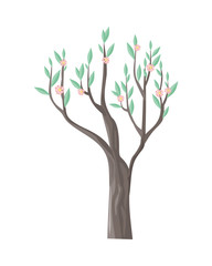 Vector Tree in Blossom with Beautiful Flowers