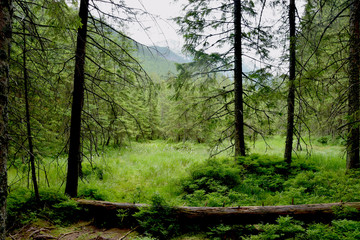 Tatry. Szlak górski nad Smreczyński Staw © carol_motion