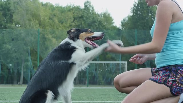 Girl with a trained dog