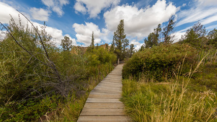 Fototapeta na wymiar Wooden walkway in the forest. Beautiful landscape of trees and yellow sharp cliffs. Smith Rock state park, Oregon