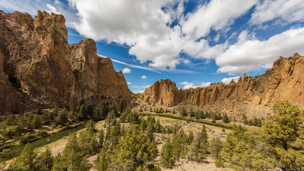 Trees grow between rocks. The river flows between rocks. The sheer rock walls. Beautiful landscape of yellow sharp cliffs. Dry yellow grass grows at the foot of cliffs. Smith Rock state park, Oregon