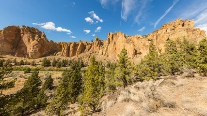 Fototapeta premium The sheer rock walls. Beautiful landscape of yellow sharp cliffs. Dry yellow grass grows at the foot of cliffs. Smith Rock state park, Oregon