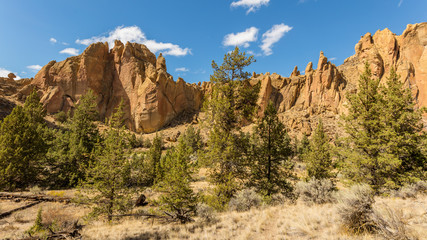 Fototapeta premium The sheer rock walls. Beautiful landscape of yellow sharp cliffs. Dry yellow grass grows at the foot of cliffs. Smith Rock state park, Oregon