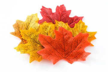 Autumn leaves isolated on white background

