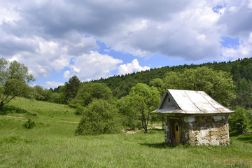 Fototapeta na wymiar Kamienna kapliczka w Czarnem, Beskid Niski