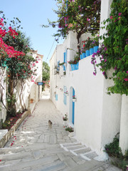 Fototapeta na wymiar traditional street among bougainvillaea in rethymno city Greece