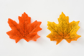 Autumn leaves isolated on white background

