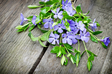 Spring flower. Bouquet of purple flowers on a wooden background.