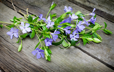 Spring flower. Bouquet of purple flowers on a wooden background.
