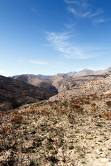 Empty but life - Swartberg Nature Reserve
