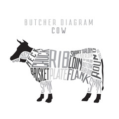 Cow butcher diagram. Cut of beef set. Typographic vintage  - 122258074