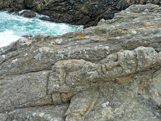 Rochers sculptés de Rothéneuf