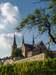 Obraz premium Weinberge Kloster Michelsberg