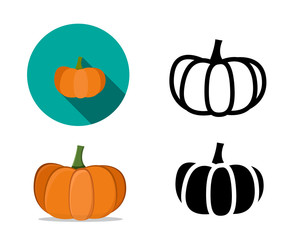 Pumpkin icons in flat style, vector