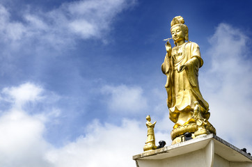 'Guan Yin', Goddess of Mercy, Golden statue of bodhisattva in Trang,Thailand.