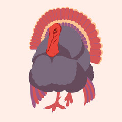 turkey vector illustration style Flat