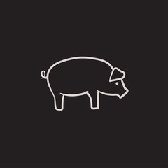 Pig sketch icon.