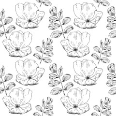 Seamless sketch briar template background. Vector illustration for your design