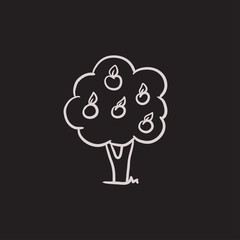 Fruit tree sketch icon.