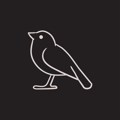 Bird sketch icon.