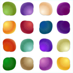 Seamless colorful seashell template background. Vector illustration for your design