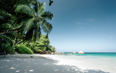 Fototapeta na wymiar Anse Lazio beach, Praslin island, Seychelles