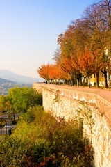 Obraz premium autumnal walkway with chestnut trees at Castle of Budapest