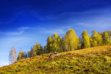 Fototapeta premium Autumn landscape with rocky mound
