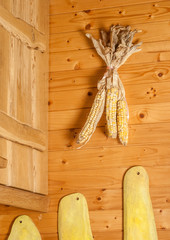 Dried corn on a wooden wall © Subtropicals