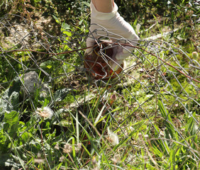 environmental activists collecting garbage