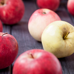 ripe red apples on a table selective focus square photo