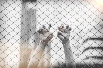 Hand with metal fence, feeling no freedom