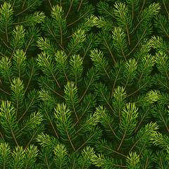 Fototapeta premium Christmas seamless background from fir branches