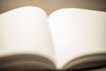 Open pages of a blank book