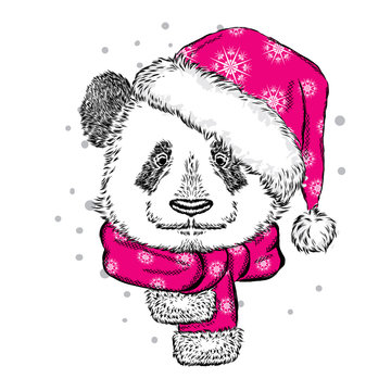 Panda Christmas hat and scarf. Vector illustration for greeting card, poster, or print on clothes. Christmas and New Year. Winter.