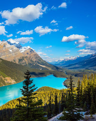 The lake in the form of a wolf's head