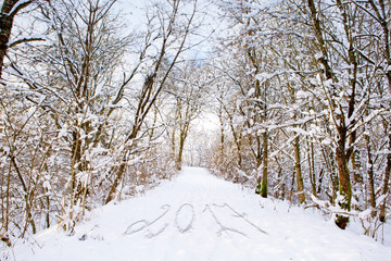 Fototapeta na wymiar 2017 written on winter forest walk.