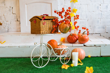 pumpkins and autumn scenery